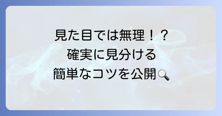 カタカナ「ト」と漢字「卜」を見分けるポイント