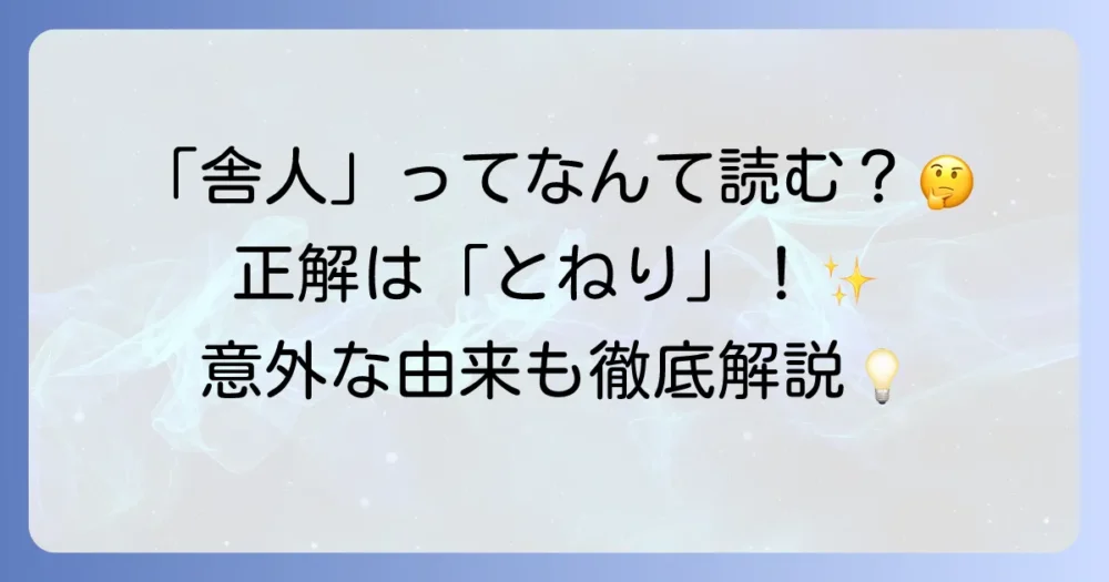 舎人ライナーの読み方を徹底解説！難読地名の由来と正しい読み方