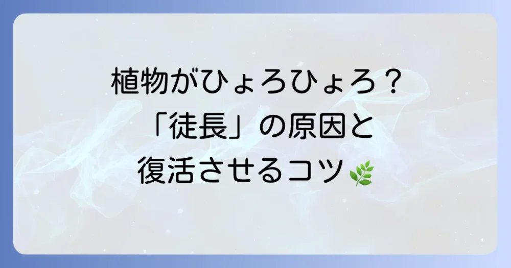 徒長の読み方と意味を徹底解説！植物がひょろひょろ伸びる原因と対策