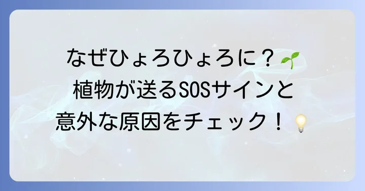 なぜ徒長は起こるのか？主な原因と植物のサイン