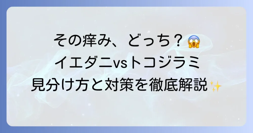 イエダニとトコジラミの症状を徹底比較！正しい見分け方と対策
