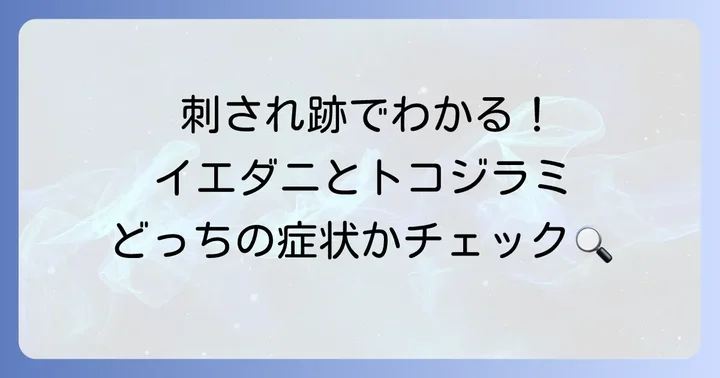 イエダニとトコジラミ、それぞれの症状を詳しく解説