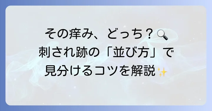 刺され跡で判断！イエダニとトコジラミの見分け方