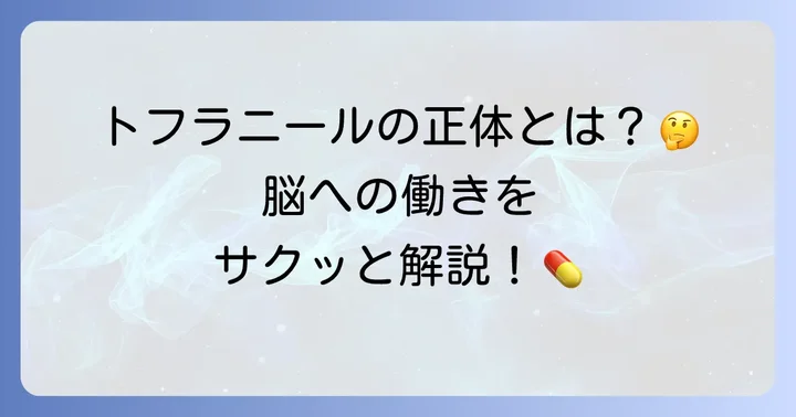 トフラニールとは？基本的な情報と作用メカニズム