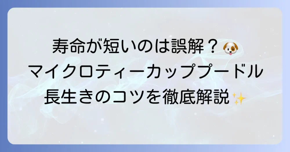 マイクロティーカッププードルの寿命を徹底解説！長生きの秘訣と健康管理の全て