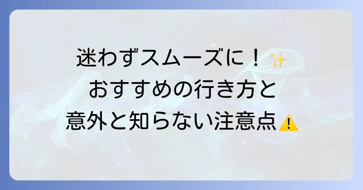 豊洲市場へのアクセス方法と午後の注意点