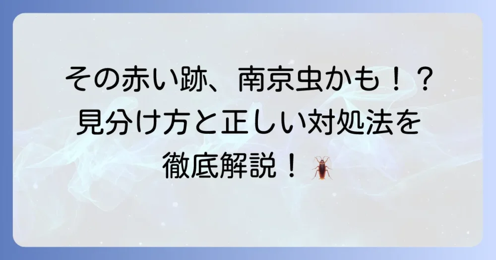 南京虫の噛み跡を徹底解説！特徴から見分け方、かゆみ対策と正しい対処法まで