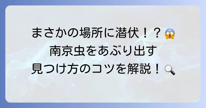 南京虫（トコジラミ）本体の探し方と潜伏場所の特定