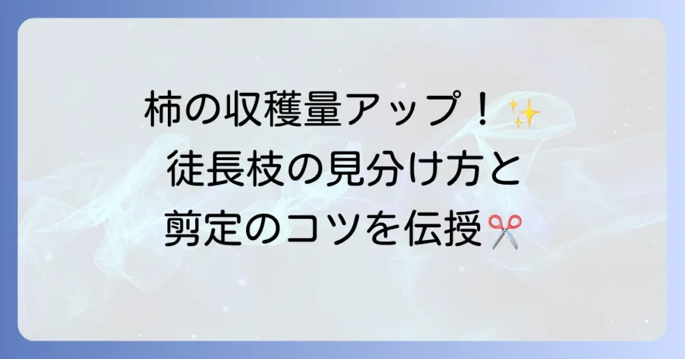 柿の徒長枝剪定で収穫量アップ！見分け方から時期と方法まで詳しく解説