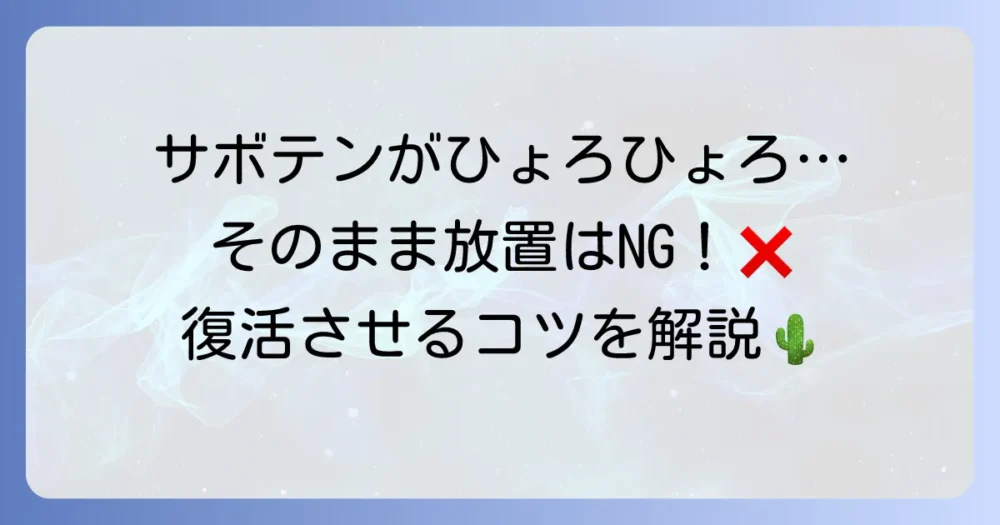 サボテンの徒長をそのまま放置するのはNG？見た目と健康を守る対処法と予防策