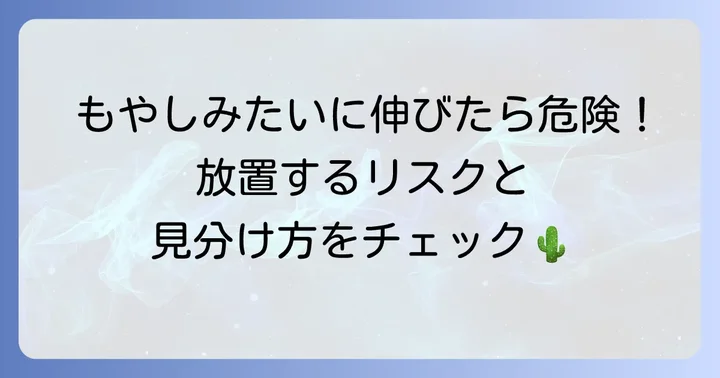 サボテンの徒長とは？そのまま放置するリスクと見分け方