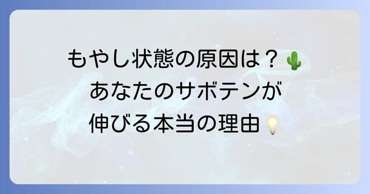 なぜサボテンは徒長するのか？主な原因を徹底解説
