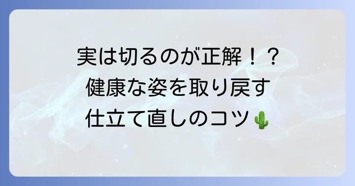 徒長したサボテンをそのままにしない！効果的な対処法