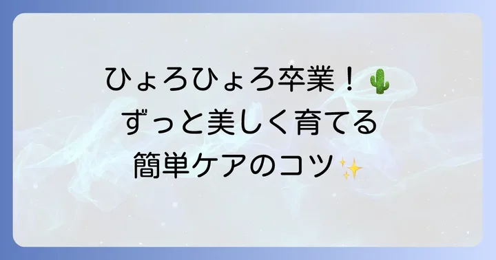 徒長させないための予防策と健康なサボテンの育て方