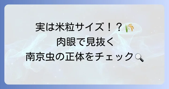 南京虫（トコジラミ）はどのくらいの大きさ？肉眼で見える？
