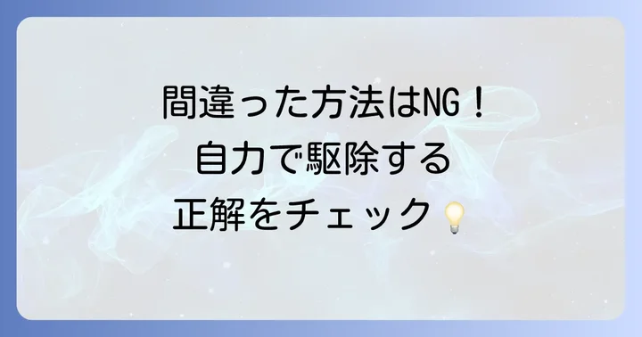 自力でできる南京虫の対策と駆除方法