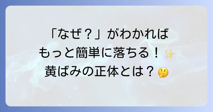 便座の黄ばみ、その主な原因とは？