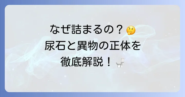 小便器がつまる主な原因とは？尿石や異物が引き起こすトラブル
