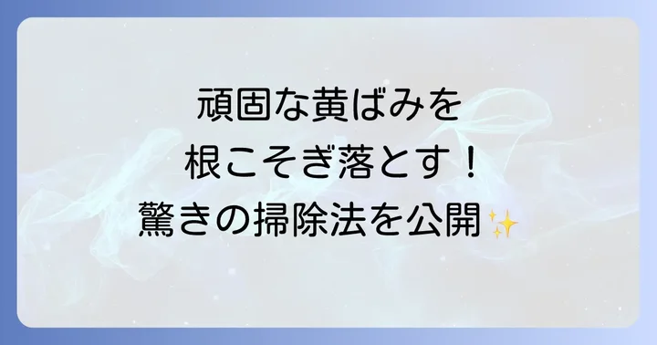 ウォシュレットの尿石を落とす具体的な方法