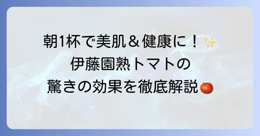 伊藤園熟トマトの効果を徹底解説！リコピンの力で健康と美容を手に入れる方法