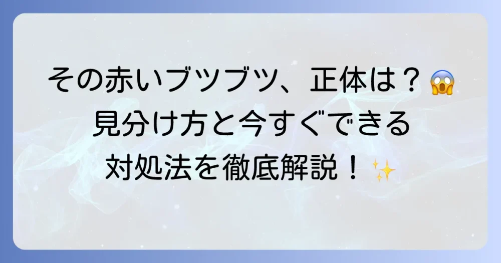 南京虫の症状を徹底解説！刺された時の見分け方と対処法