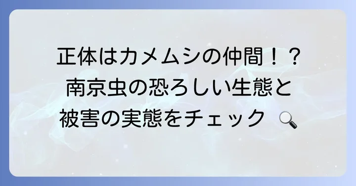 南京虫とは？その生態と被害