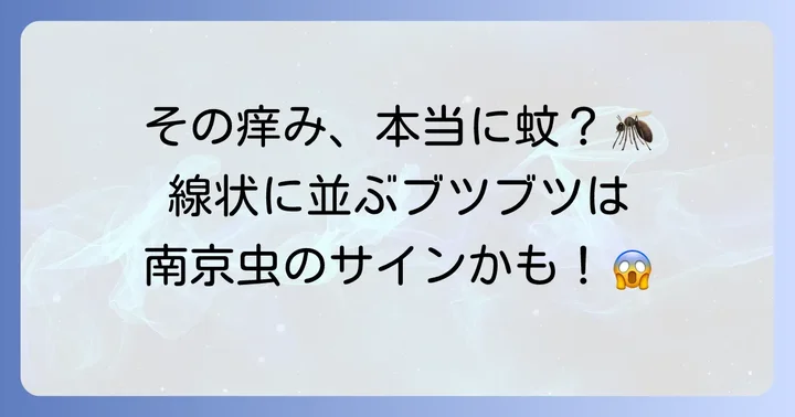 南京虫に刺された時の症状と特徴
