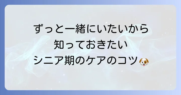 高齢期に入ったトイプードルの特別なケア