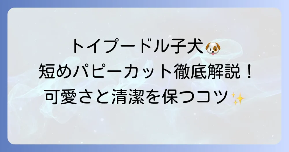 短めトイプードルのパピーカットを徹底解説！子犬の可愛さと清潔を保つ方法