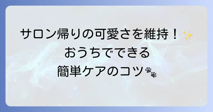 短めパピーカットの維持と自宅でのケア