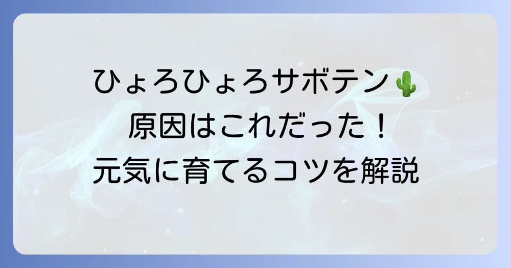 ウチワサボテンの徒長の原因と対策を徹底解説！ひょろひょろになったサボテンを元気に育てるコツ