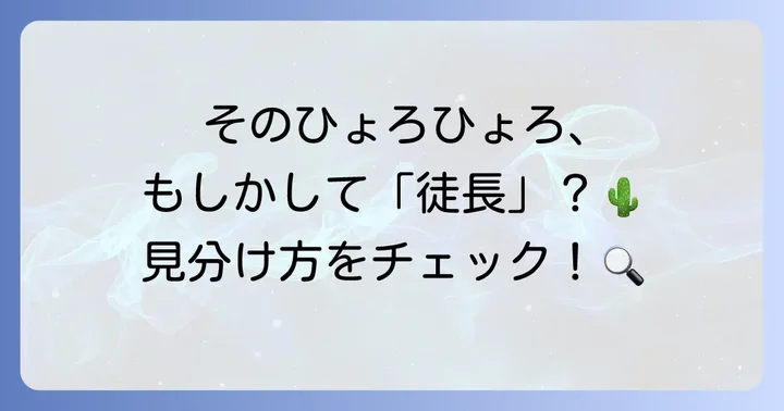 ウチワサボテンの徒長とは？その特徴と見分け方