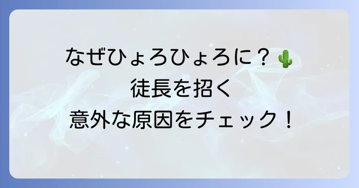 ウチワサボテンが徒長してしまう主な原因
