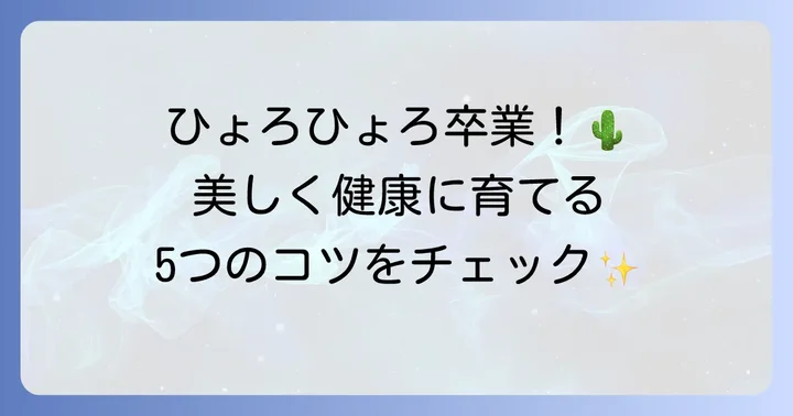 ウチワサボテンの徒長を防ぐための育て方
