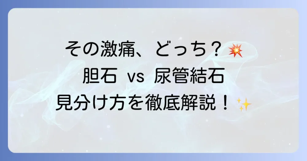 胆石と尿管結石の違いを徹底解説！症状や原因、治療法まで