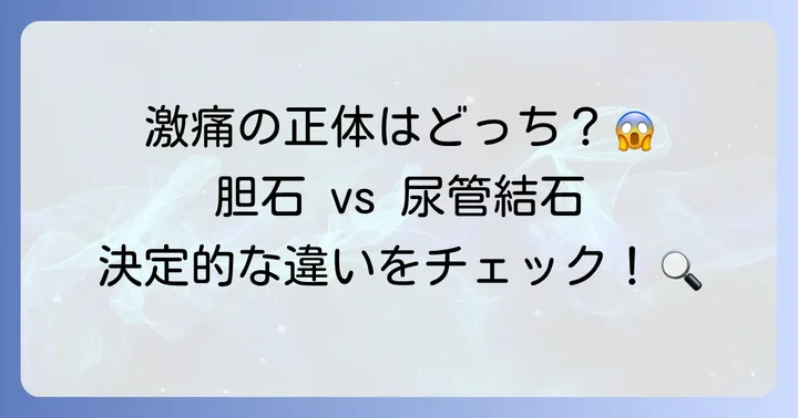 胆石と尿管結石の根本的な違いを理解しよう