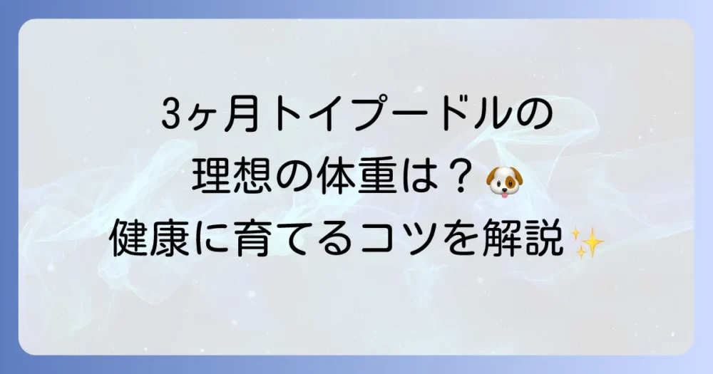 トイプードルの3ヶ月の体重は？健康な成長のための目安と管理方法を徹底解説