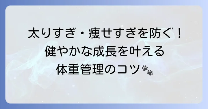 健康な体重管理のコツ