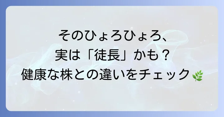 ポトスの徒長とは？元気な株との違いを理解しよう