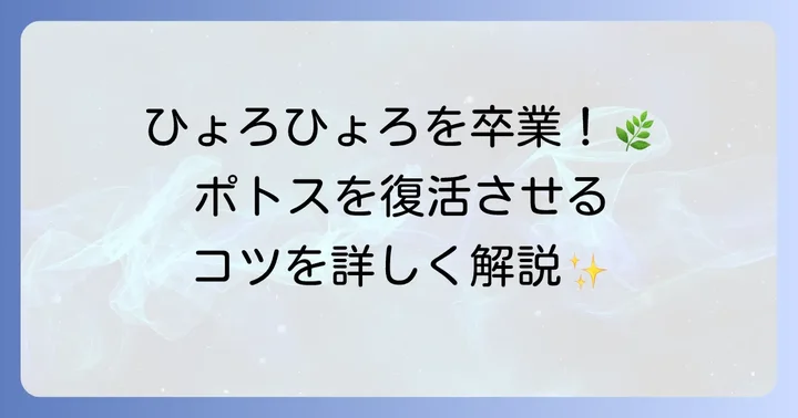 徒長してしまったポトスを元気にする具体的な対策