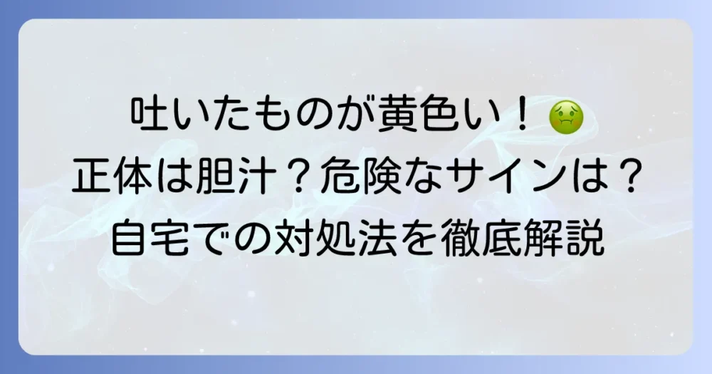 「吐瀉物が黄色い」の正体は胆汁？考えられる原因と危険なサイン、自宅での対処法を徹底解説