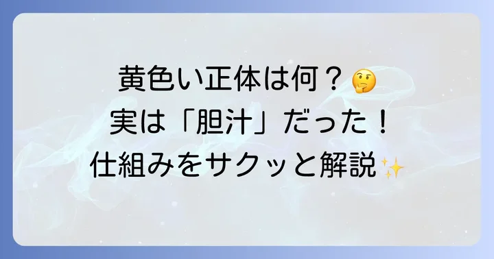 黄色い吐瀉物は何を意味する？その正体は「胆汁」
