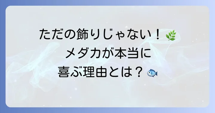 メダカと水草の深い関係性