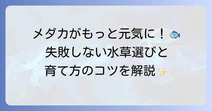 杜若園芸が提案するメダカが喜ぶ水草の選び方と育て方