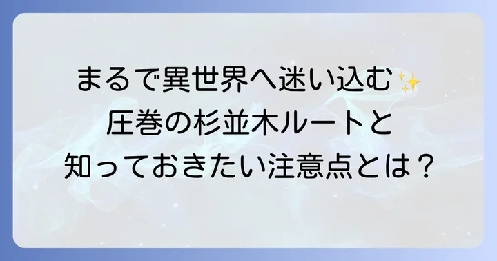 戸隠神社奥社参道への道のり