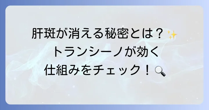 トランシーノとは？肝斑への効果とメカニズム