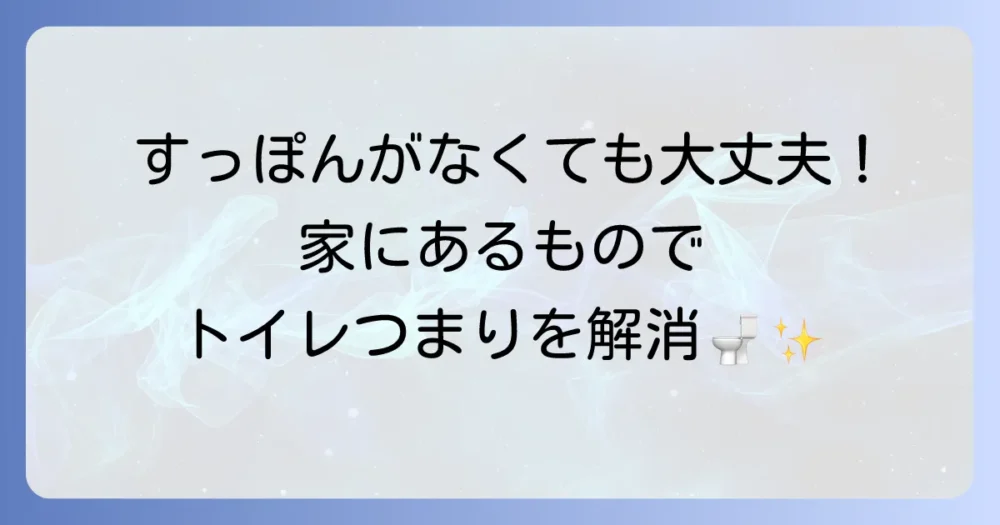 トイレがつまった時はどうする？すっぽんがない時の代用アイテムと解消方法