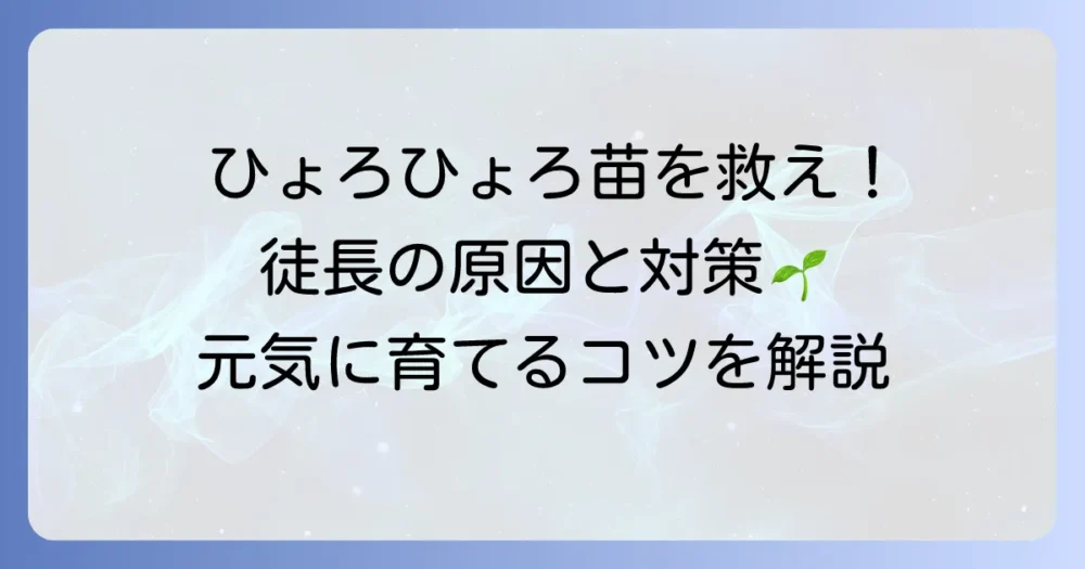 水耕栽培で徒長したらどうする？原因と対策で元気な野菜を育てる方法
