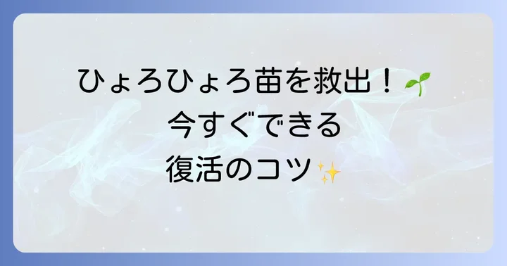 水耕栽培で徒長してしまった時の具体的な対策