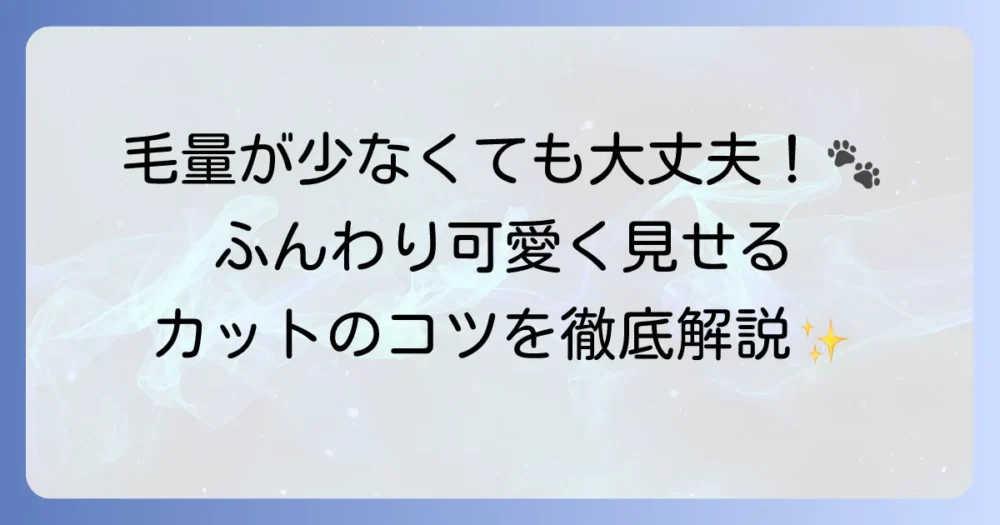 トイプードルの毛量が少ない子に似合うカットを徹底解説！ふんわり見せるコツと注意点